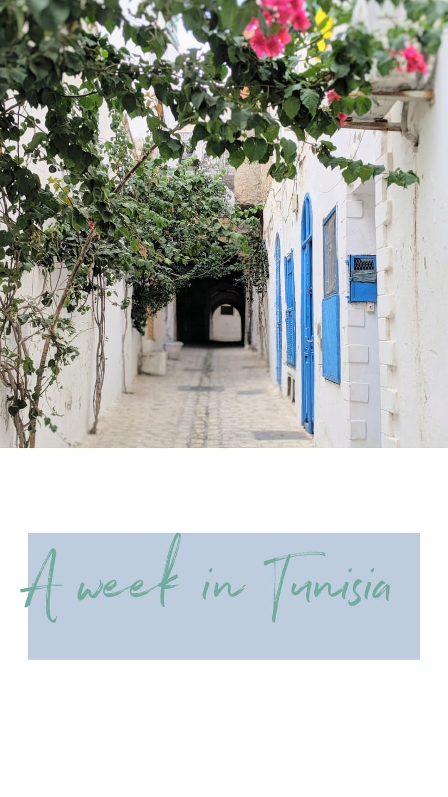 WhatsApp Image 2019-12-03 at 15.38.22.jpeg